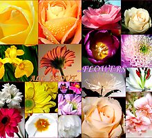 All About Flowers- My Favourite Things by naturelover