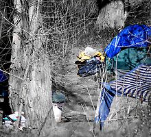 a West Sacramento homeless encampment by Lenny La Rue, IPA