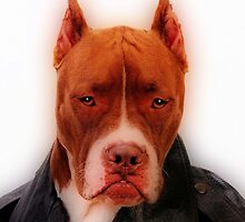 Stunning Pit by Lover1969
