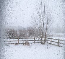 Belated Winter by Pamela Hubbard