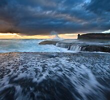 The Shelf by Jared Revell