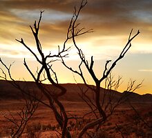 Reminiscing by Pamela Inverarity