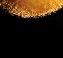 Abstract Kiwifruit - Artful by Alex Ball
