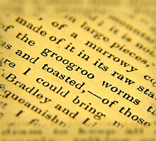 Fragment by Ann Palframan