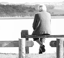Watching.... waiting. by Lynne Haselden