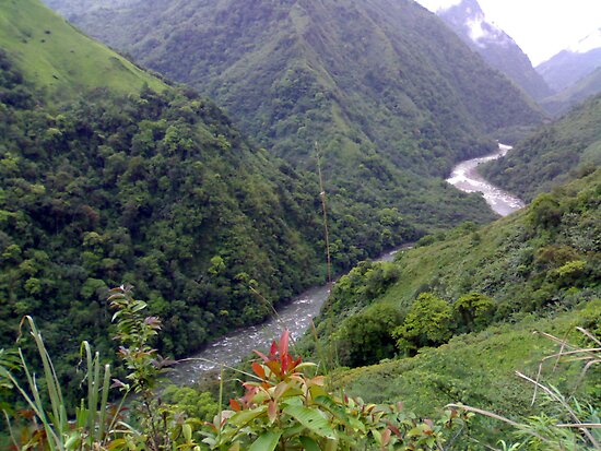 Siang River