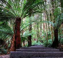 Signs of Civilisation by Andrew S