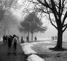 Coming and Going by Tracy Engle