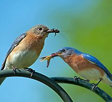 McDonald's Bluebird Style by Bonnie T. Barry