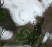 through the looking glass by butchart