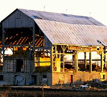 A Bitter End...In the Evening light... by Larry Llewellyn