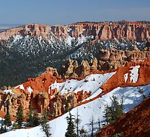 Bryce Canyon with Snow by Barbara Burkhardt