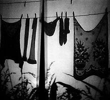 A l'ombre du jardin by Etienne RUGGERI Artwork eRAW