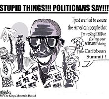 Stupid Things, Politicians Say#2!! by Seth Weaver