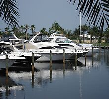 Boating Community by Rosalie Scanlon