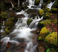 North Carolina Cascade, GSMNP by ThomasRBiggs