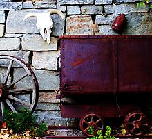 A Glimpse of the Wild Wild West by Polly Peacock