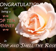 “Top Ten Winner – Stop and Smell the Roses” Banner by Stephie Butler