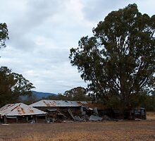 The old Shearing Shed by rflower