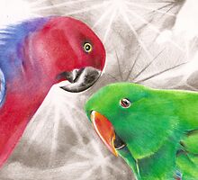 Battle of the Sexes by Lyrebird