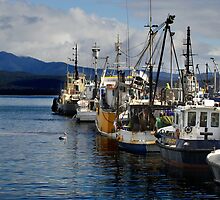 Snug Cove - Eden by Darren Stones