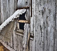 Window Treatment by photosbyflood