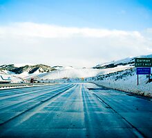 Snow Storm in California by Sophie Gonin