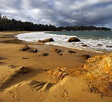 Cocora Beach - Eden by Darren Stones
