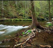 Smoky Mountain Scene, GSMNP by ThomasRBiggs