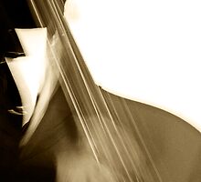 Bass Reverberation by JimFilmer