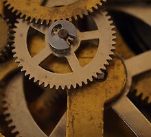 Cogs and Wheels by Sam McCabe