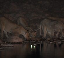 Night time drinks at the watering hole by ChrisCoombes