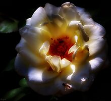 Amazed By You ................. by bamagirl38