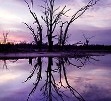 Lonely Vigil by Steve Chapple