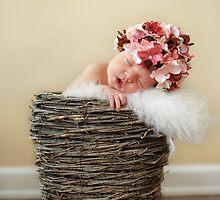 Oh Sweet Baby.... by Kristen Caldwell