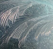 Iceflowers by Hans Bax