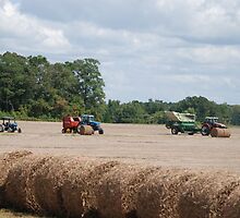 Tractors x3 by Ann Starzynski-McNeil