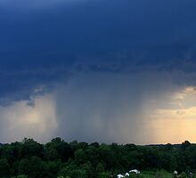 *MESO #925* by Van Coleman