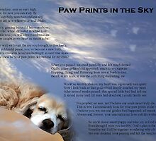 Paw Prints in the Sky by Polly Peacock