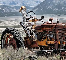 Died While Tending Farm by Dyle Warren