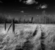 Road Less Travelled by Heather Waller-Rivet IPA