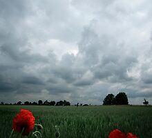 Remember Me by Paul Tupman