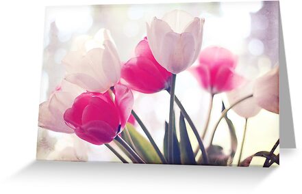 tulips by sylvia plath essay Sylvia plath sylvia plath (1932-1963) an american poet and novelist of the 20th century was born in boston, massachusetts sylvia plath is best known for her semi-autobiographical novel the bell jar and her second volume of poetry collection, ariel. tulips by sylvia plath essay Sylvia plath sylvia plath (1932-1963) an american poet and novelist of the 20th century was born in boston, massachusetts sylvia plath is best known for her semi-autobiographical novel the bell jar and her second volume of poetry collection, ariel.