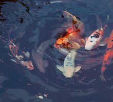 FISH POND No2 by Paul Quixote Alleyne