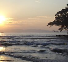Sunrise in Sri Lanka by catherine bracegirdle