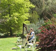 melbourne gardens by rudledge