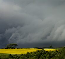 Storm Clouds by David Lewins