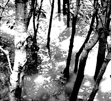 Gloom trees by Megan Duynhoven