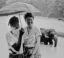 In the Rain 、Sri Lanka by yoshiaki nagashima