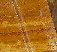 What AM I ? Soved first by Robert Tynnes " A BOOK END" Special mention Sherry Lynn by Larry Llewellyn